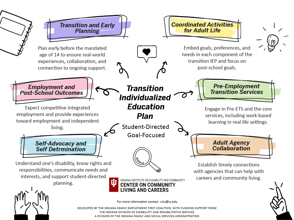 Transition IEP Schematic